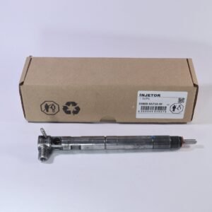 Injetor Delphi 28229873 Kia/hr, Bongo K2500 2.5 Euro V