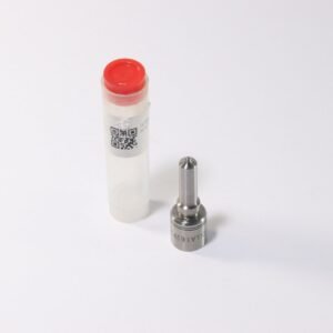 Bico Injetor DLLA162P2160 P2160